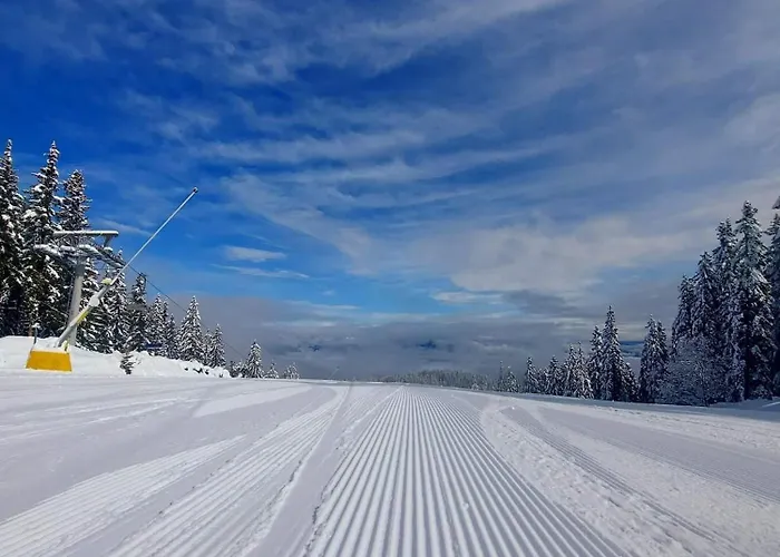 Anna Near Gondola Apartman